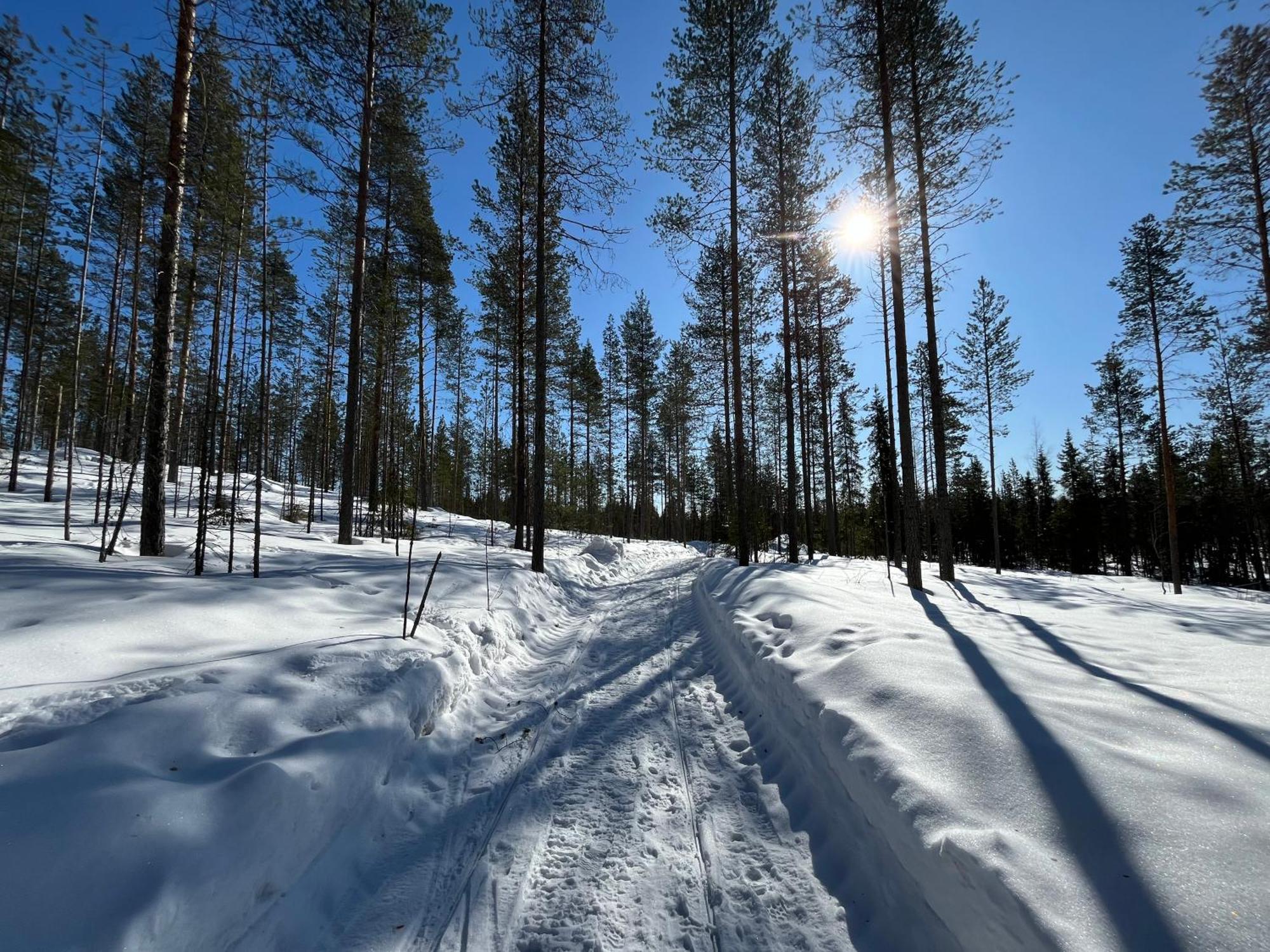 Log Cottages In 10 Min From Santa Claus Village-Sauna&Freeparking 로바니에미 외부 사진